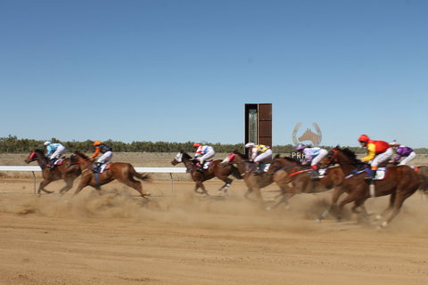 Annual Prairie Races - Accommodation Sydney 1