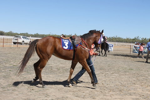 Annual Prairie Races - Accommodation Sydney 2