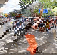 Australian National Busking Championships - Accommodation Sydney