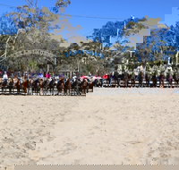 Australian Campdraft Association National Finals Campdraft 2021 - Accommodation Sydney