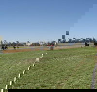 Balranald Races -Derby Day - Accommodation Sydney