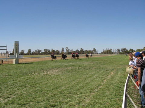 Balranald Races -Derby Day - Accommodation Sydney 0