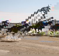 Bedourie Races and Rodeo - Accommodation Sydney
