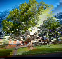 Big Bat Wildlife and Eco Festival - Accommodation Sydney