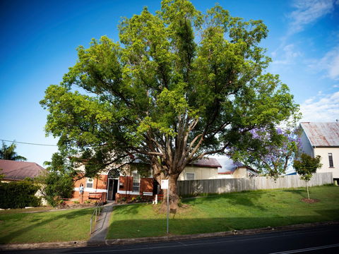 Big Bat Wildlife And Eco Festival - Accommodation Sydney 0