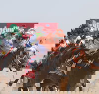 Birdsville Races - Accommodation Sydney
