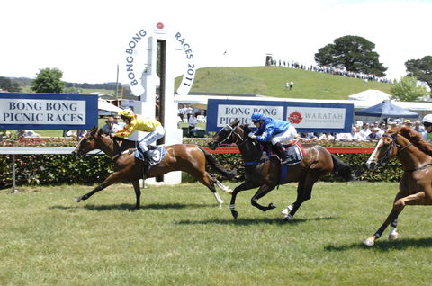 Bong Bong Picnic Races - Sydney 4u 0