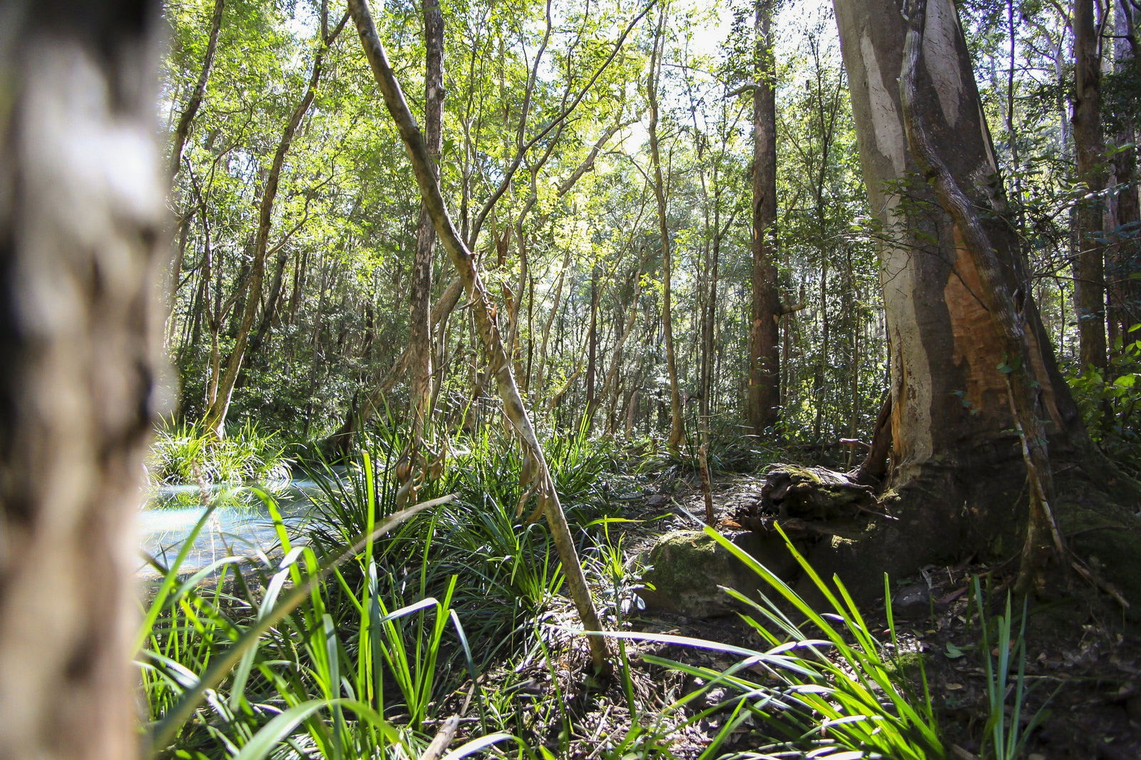 Herons Creek NSW Accommodation Sydney