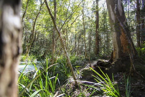 Bottlebutt Bash Trail Run - Accommodation Sydney 0