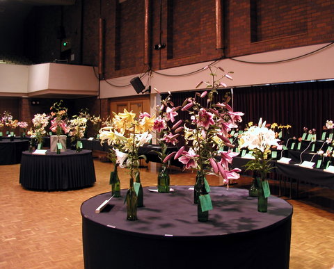 Burnie Lilium Show - Accommodation Sydney 0