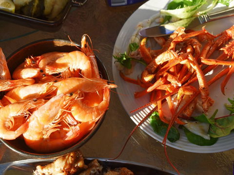 Cape Jaffa Food And Wine Festival - Accommodation Sydney 0