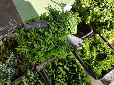 Carlton Farmers' Market - Accommodation Sydney 2