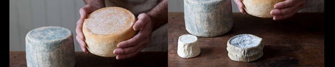 Cheese Making Basics Class - Accommodation Sydney 0