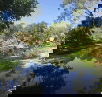Conservation Volunteers Australia Townsville - Creekwatch - Accommodation Sydney