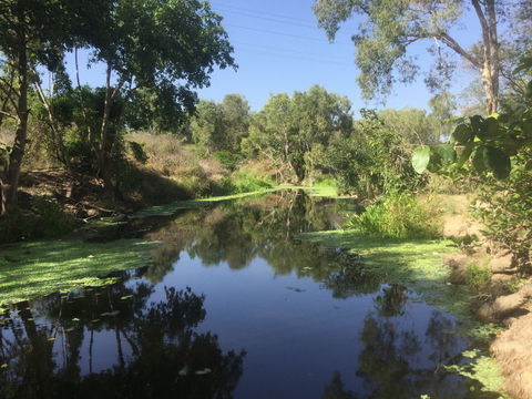 Conservation Volunteers Australia Townsville - Creekwatch - Accommodation Sydney 0