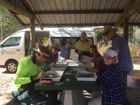 Conservation Volunteers Australia Townsville - Creekwatch - Accommodation Sydney 1