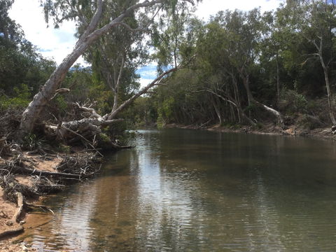 Conservation Volunteers Australia Townsville - Creekwatch - Accommodation Sydney 2