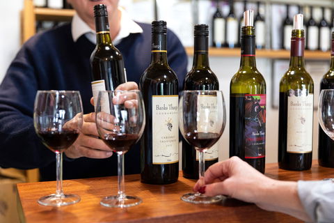 Coonawarra Cellar Dwellers - Accommodation Sydney 2
