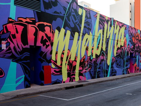 Darwin Street Art Festival - Accommodation Sydney 1