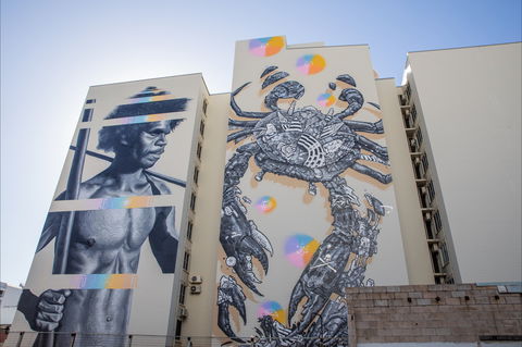 Darwin Street Art Festival - Accommodation Sydney 2