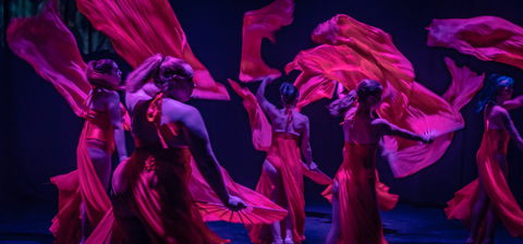 Darwin Fringe Festival - Accommodation Sydney 1