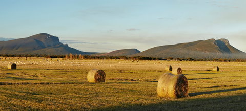 Digital Innovation & Smart Agriculture 2021 Festival - Accommodation Sydney 1