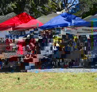 Dogs in the Park Shell Harbour - Accommodation Sydney