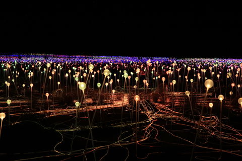 Field Of Light Uluru - Accommodation Sydney 1