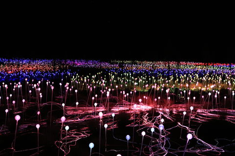 Field Of Light Uluru - Accommodation Sydney 2