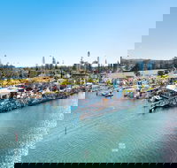 Fred Williams Aquatic Festival - Accommodation Sydney