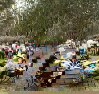 Grazing Down the Lachlan - Accommodation Sydney