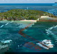 Great Adventures Green Island Ocean Swim - Accommodation Sydney