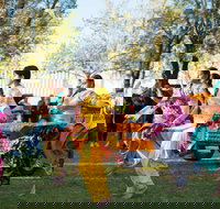 Griffith Spring Fest -  Multicultural Festival