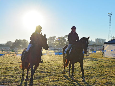 Gunnedah Showjumping Festival - Accommodation Sydney 0