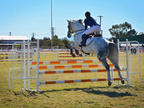 Gunnedah Showjumping Festival - Accommodation Sydney 1