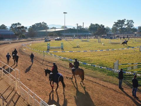 Gunnedah Showjumping Festival - Accommodation Sydney 2