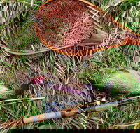 Guyra TroutFest - Accommodation Sydney