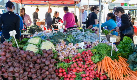 Harvest Launceston Community Farmers' Market - Accommodation Sydney 2