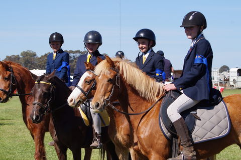 Hay Agricultural Show - Accommodation Sydney 0