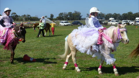 Hay Agricultural Show - Accommodation Sydney 1