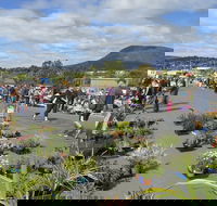 Hobart Showground Sunday Market - Weekly - Accommodation Sydney