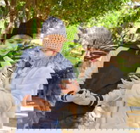 Hunter Valley Gardens Virtual Treasure Trail - Accommodation Sydney