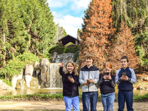Hunter Valley Gardens Virtual Treasure Trail - Accommodation Sydney 1