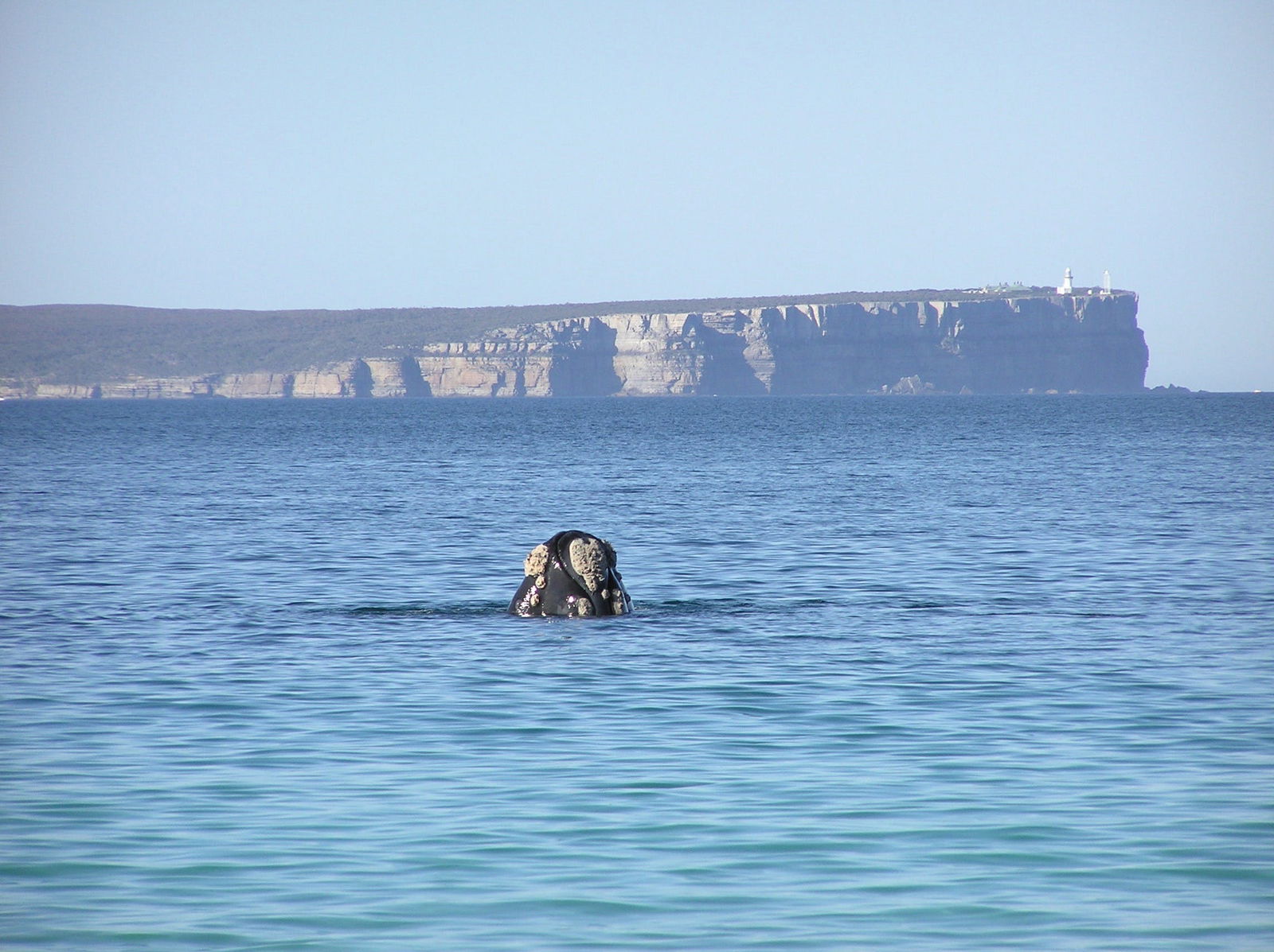 Huskisson NSW Accommodation Sydney