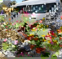 Johns River Country Markets - Accommodation Sydney