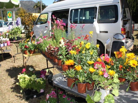 Johns River Country Markets - Accommodation Sydney 0