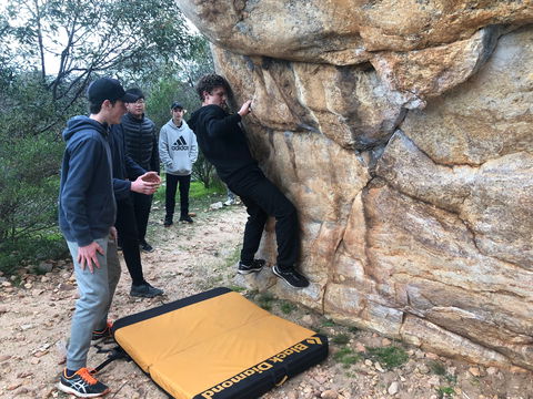 July 2020 Holidays- Forest Adventures Treasure Hunt - Accommodation Sydney 1