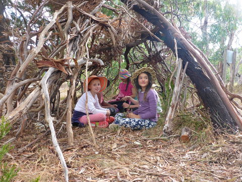 July 2020 Holidays- Forest Adventures Treasure Hunt - Accommodation Sydney 2