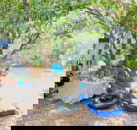 Jungle Love Festival - Accommodation Sydney