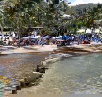 Lions Airlie Beach Community Markets - Accommodation Sydney